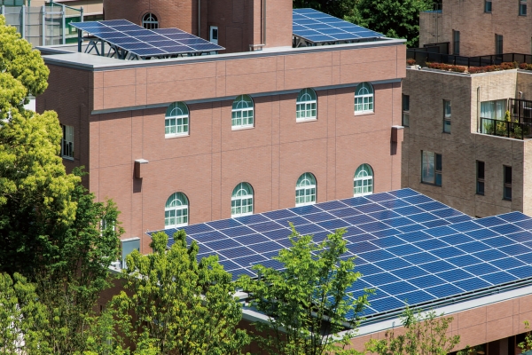 inochi_solarpanel-600x400